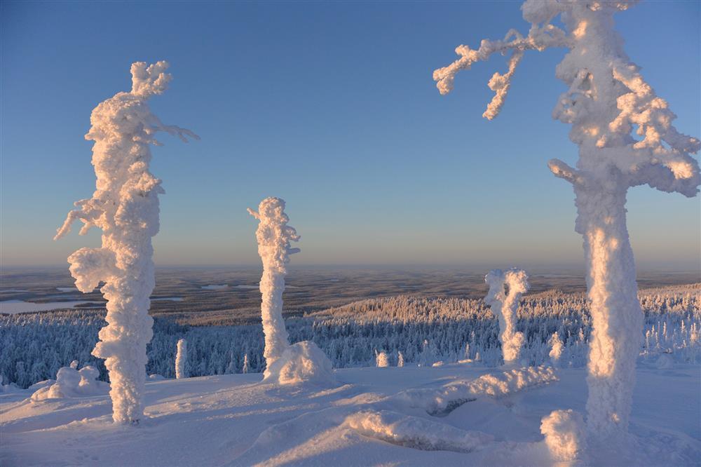 ТОП мест Ленинградской Карелии для зимних походов выходные достопримечательности гора воттоваара